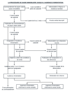 schéma saisie immobilière jusqu'à orientation