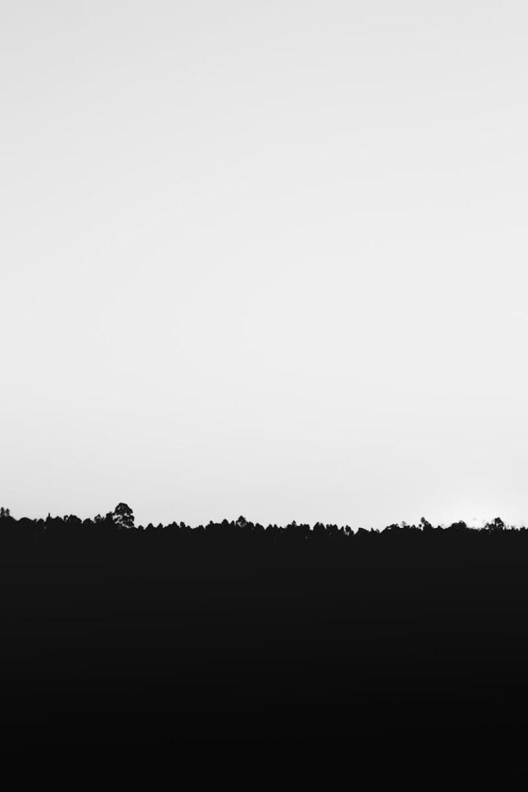 A minimalist black and white image featuring a tree silhouette against a bright sky background.