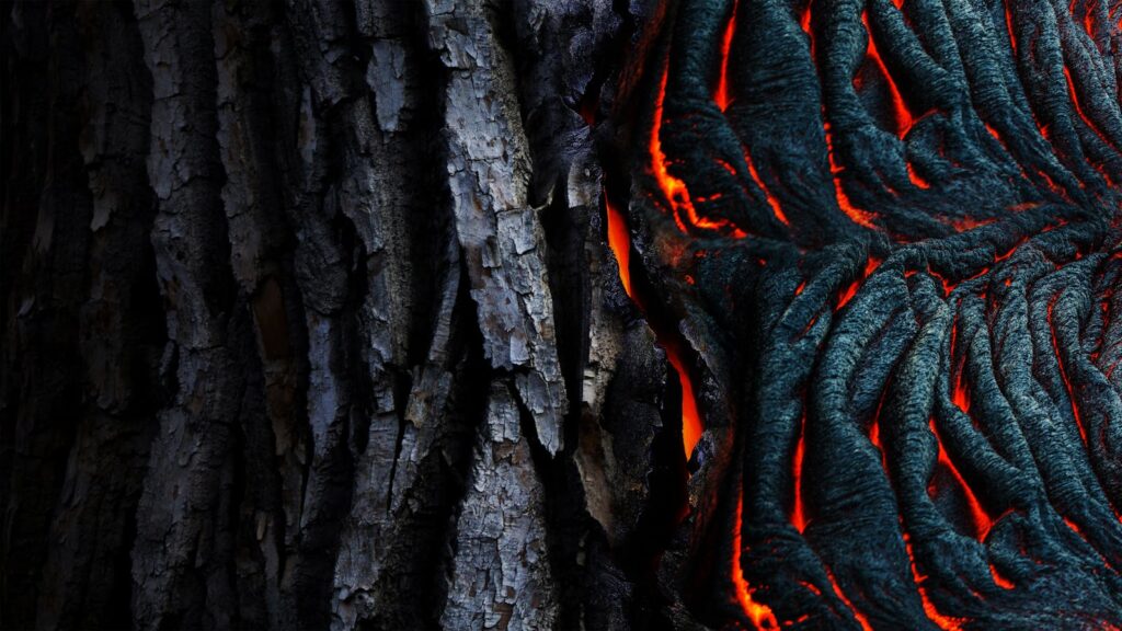 Vivid abstract of glowing lava texture against dark tree bark. Perfect for nature-themed designs.