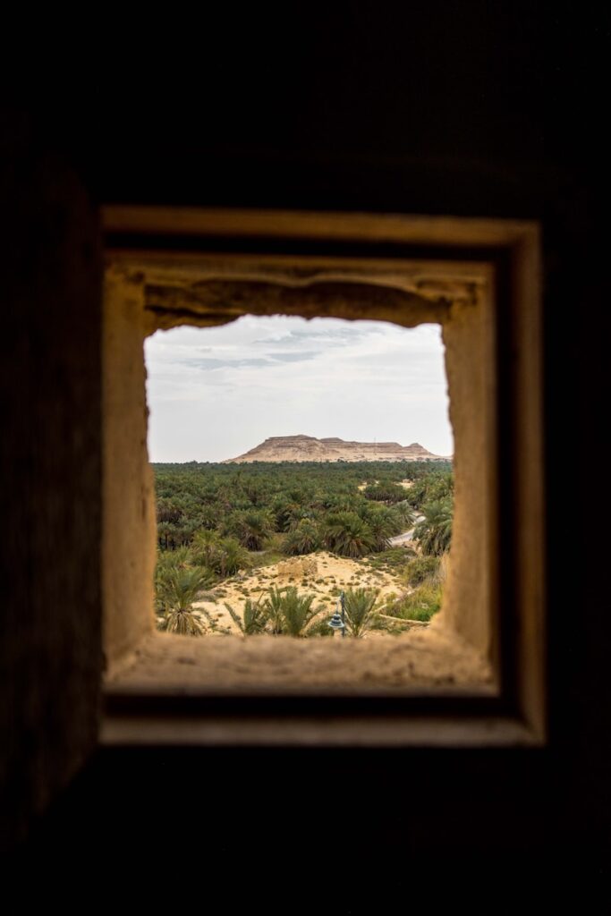 View of a landscape framed by a window.