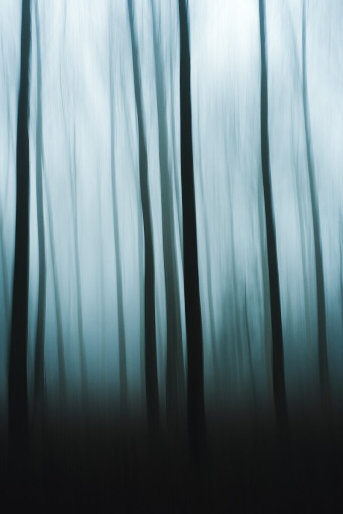 Blurred image of trees in a mysterious forest.