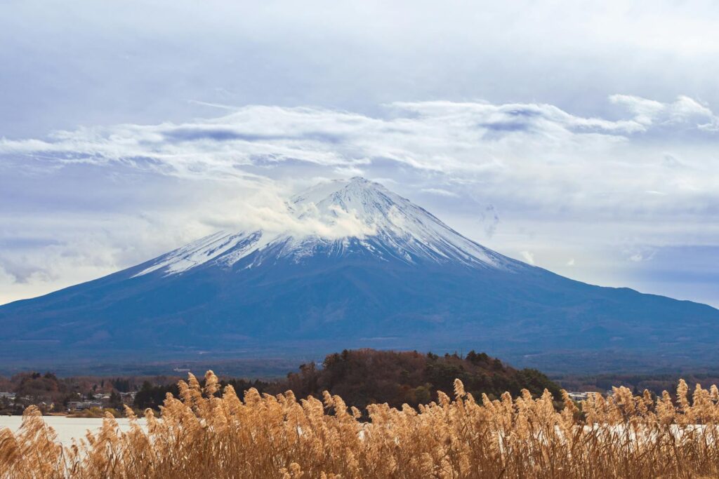 Scenic view of Mount Fuji during winter with grasses in the foreground and a cloudy sky.
