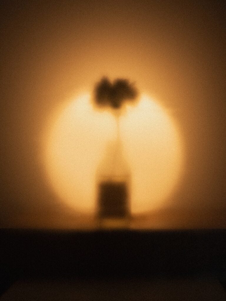 A silhouette of a vase with flowers.