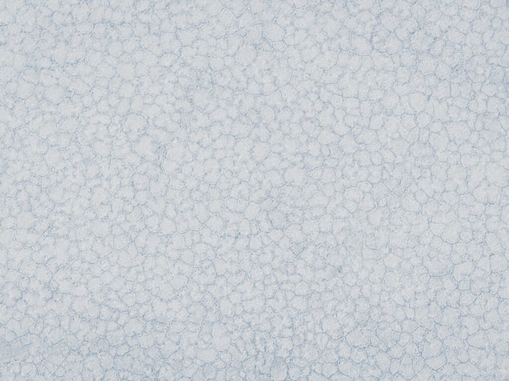 A close-up shot of a speckled, textured surface.