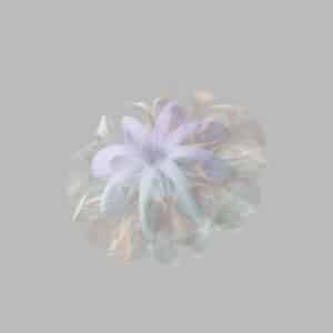 A dreamy, blurred flower floats gently.